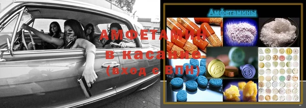 трава Кизел
