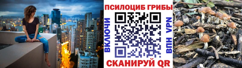 Галлюциногенные грибы Psilocybe  Нариманов 